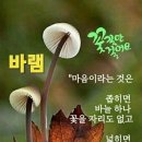 9월25일 아침에편지 이미지