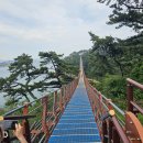 바보형제쭈꾸미(일산점) | 울산 일산해변에서 발견한 숨은 맛집! 바보형제쭈꾸미 일산점 진짜 대박이에요!