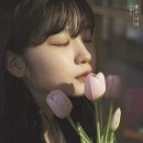게좋은나라