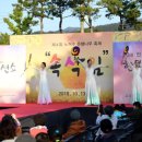 노거수 은행나무 축제의 속삭임 이미지