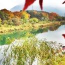 양동농협주유소 이미지