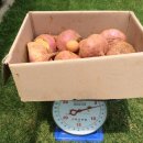 주빈농장 이미지