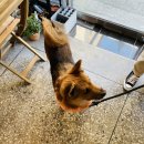 김봉겸치과의원 이미지