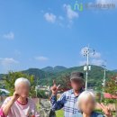 푸른다산주