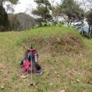 영산김밥 이미지