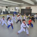 용인대 백호 태권도장 이미지