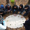 로드스테이1 이미지