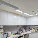 가재 우림필유 이미지