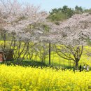 공군교육사령부동물병원 이미지