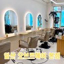 오브르헤어 일산 본점 손상모 클리닉 후기 (유리 실장님)
