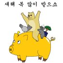 원바디핏 이미지
