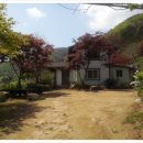 대야농장 이미지