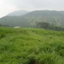 노송목장 이미지