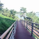 해양공원길 이미지