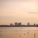 선셋(Sun Set)
