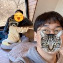 달의 정원 이미지