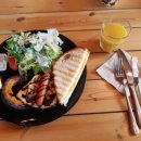 강과소나무 이미지