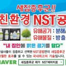 (주)한국엔에스티