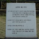 새천년관광