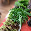 황금우렁쌈밥 이미지