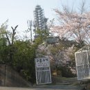 까치소리 이미지