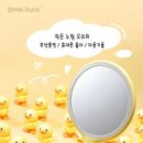 콜른코리아