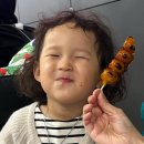 바른구대