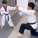 청출어람태권도장 이미지