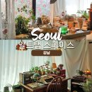 컨셉 스튜디오 &#34;알트탭 스페이스&#34; 📸 여작가의 작업실 이용후기