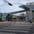 북유성대로(유성-28) | 대전 유성선병원 비중격만곡증 수술 후기 :: 계기, 수술 전 진료