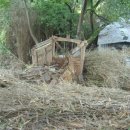 동쪽마을 이미지