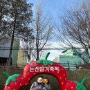 꿈빛작은도서관 | 2025 논산 딸기축제 재평가 시급함 25년 첫 딸축 솔직 주관적인 후기