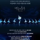 유니버설발레단 백조의 호수 발레 공연 강동아트센터 주차 좌석팁 줄거리 및 관람 후기 ft. 커튼콜