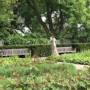 나의 정원 이미지