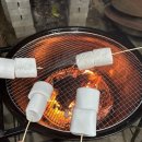 금성세탁 | 🌿 제주 애월 감성숙소 _금성담쟁이펜션