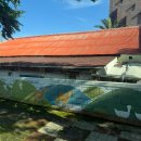 비브레이브(주) | 제주여행 3일차 비브레이브카페 /세계의가정식(태국의가정식)