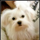 산과여울 이미지