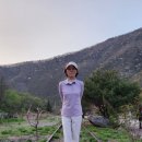 영강천변 파크골프장 이미지