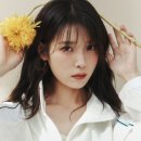 발란스코리아 이미지