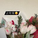 덴탈스파치과의원