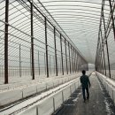 무등농원 이미지