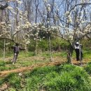 인천광역시농업기술센터 이미지