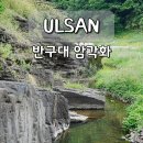 울주 대곡리 반구대 암각화 | 울산 울주 대곡리 반구대 암각화 주차 안내 고래그림 타이밍