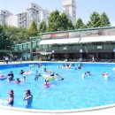 사계절썰매장/야외풀장 네이버블로그