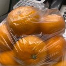 정연치과의원 이미지