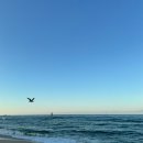 경포대오션호텔 이미지