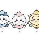 푸하하크림빵 이미지