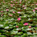 김제체육관 이미지