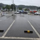 임진강장어 이미지