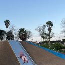 시티택시 이미지